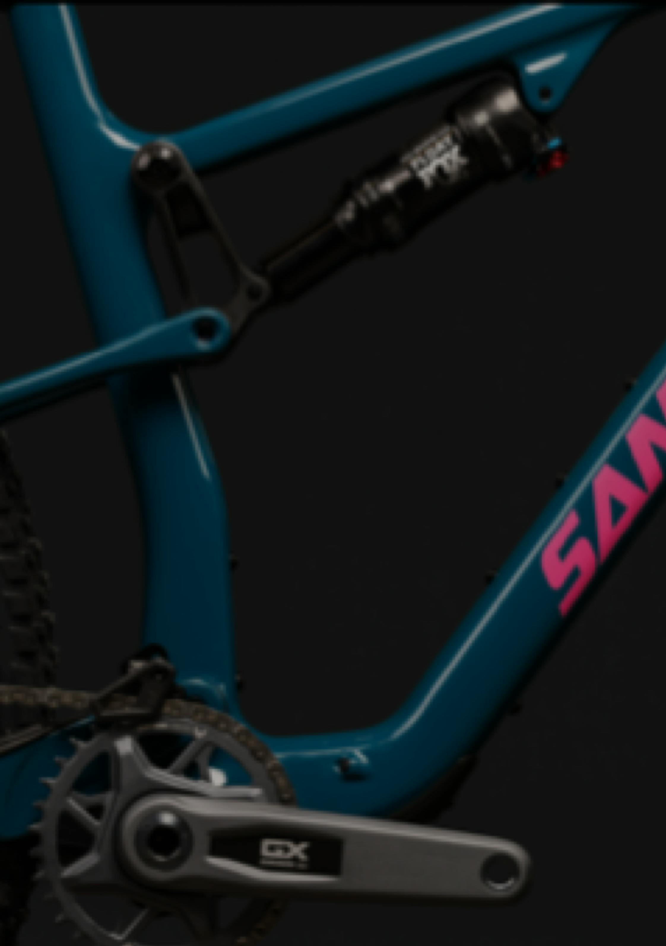 The Santa Cruz Bicycles Blur XC Bike