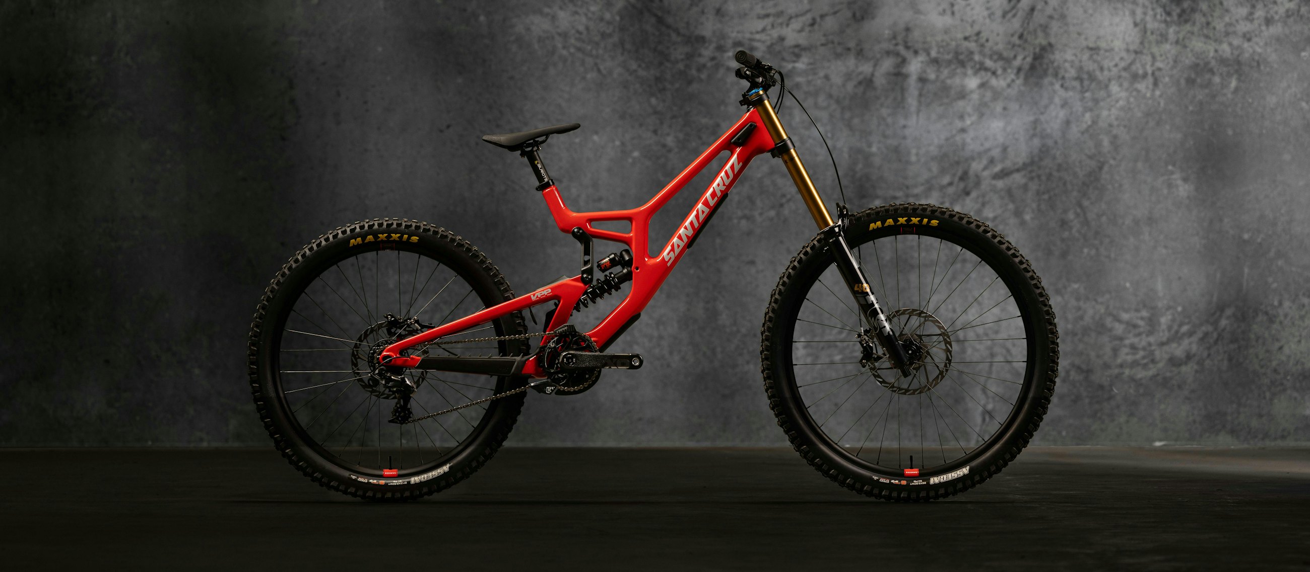 Santa Cruz Bicycles V10