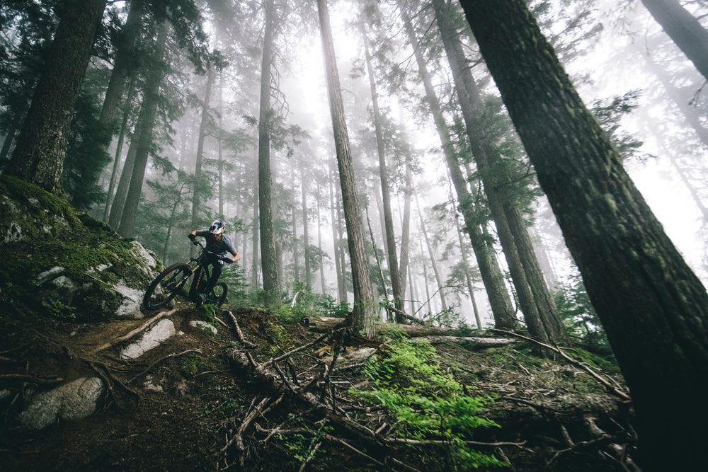 Mid-Powered vs. Full-Powered Santa Cruz Ebikes