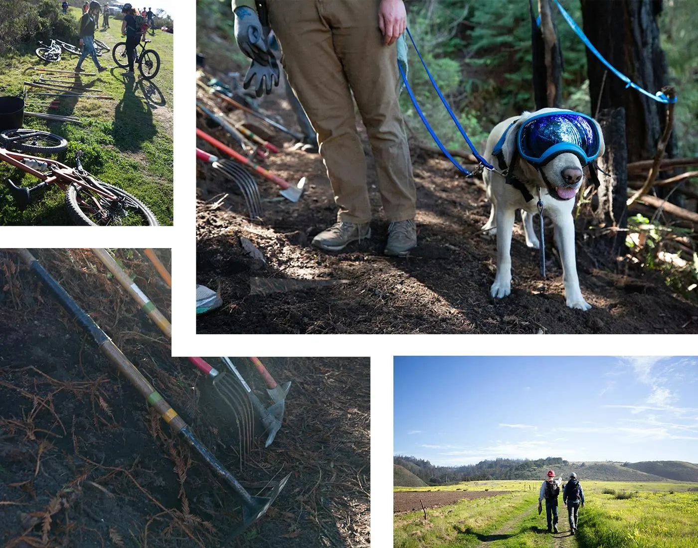 Trail building: bikes, tools, a dog with goggles, and workers walking on a scenic path in sunny weather