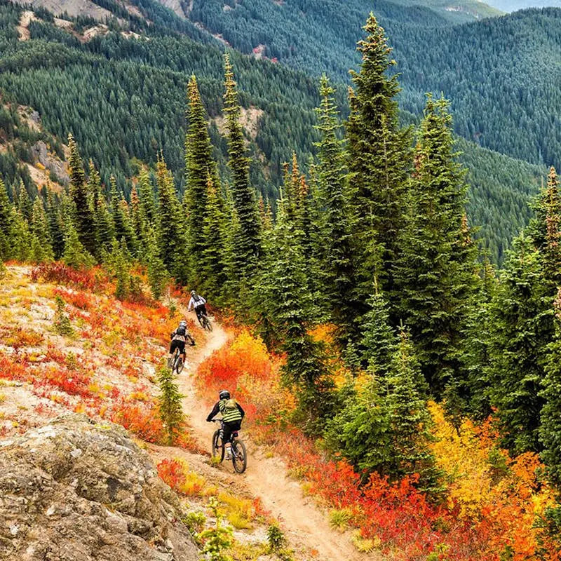 Riders navigating vibrant autumn trails surrounded by towering evergreens during the Trans Cascadia event